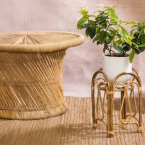 Bamboo Cane