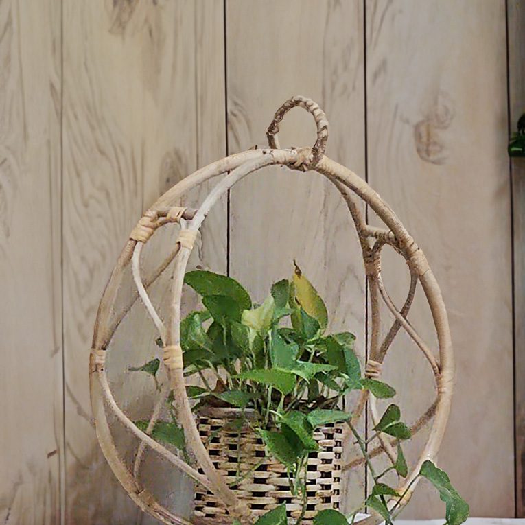Bamboo cane 9